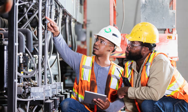 Best Electric Panel Repair  in Red Lake Falls, MN