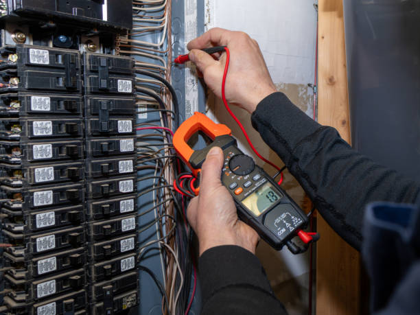 Best Generator Installation Services  in Red Lake Falls, MN
